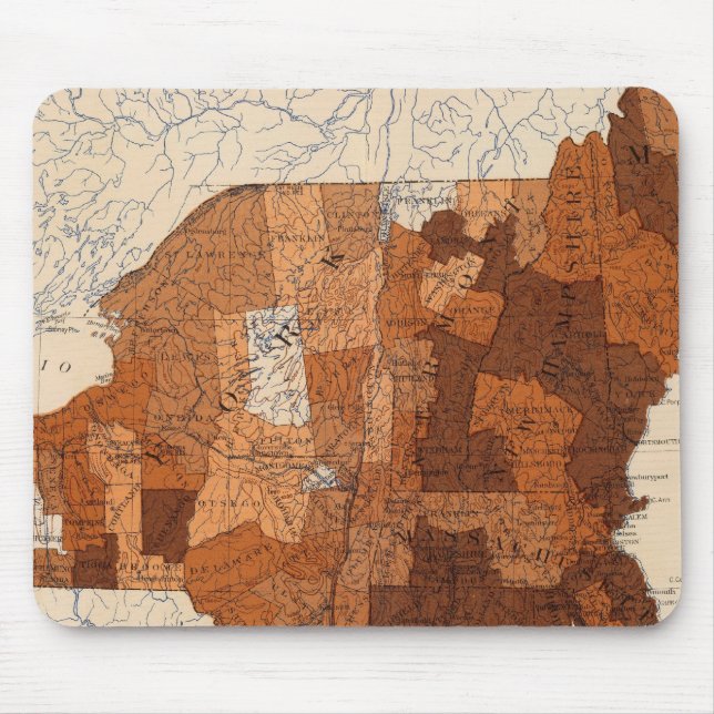 Mousepad 107 Influenza NY, NJ, New England (Frente)
