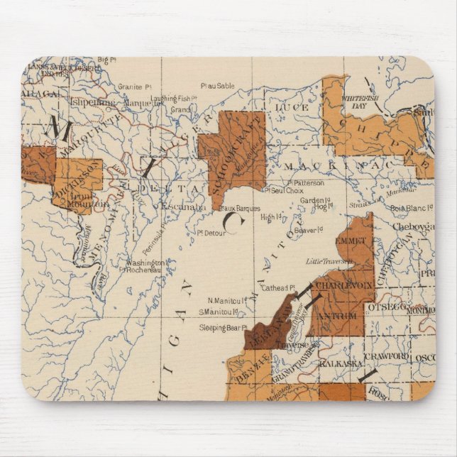 Mousepad 108 Influenza Michigan (Frente)