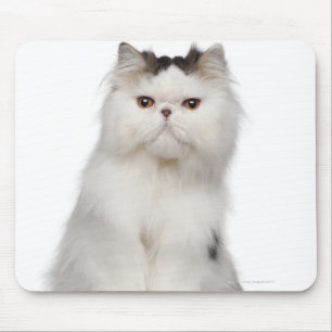 Mousepad (10 meses velho) assento persa