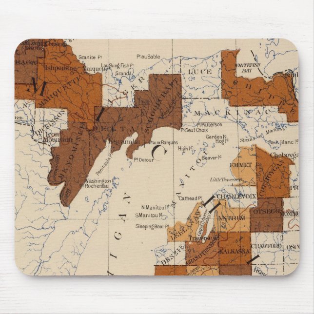 Mousepad 110 Febre tifoide Michigan (Frente)