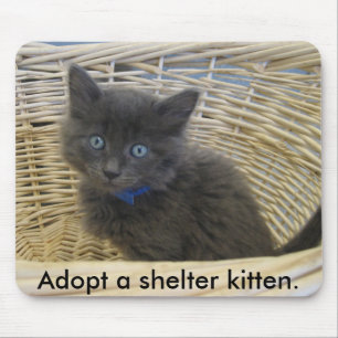 Mousepad 112907 o petfinder 028, adota um gatinho do abrigo