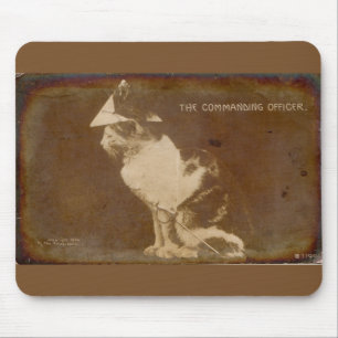 Mousepad 1906 o gato vestido oficial graduado RPPC