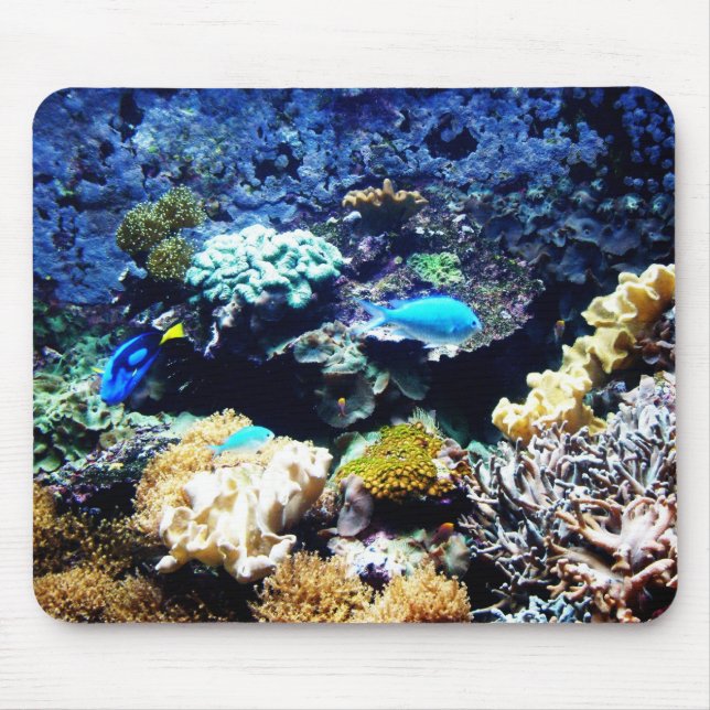 Mousepad 1 do tanque da água salgada (Frente)