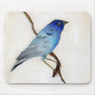 Mousepad 2012 pouco azul