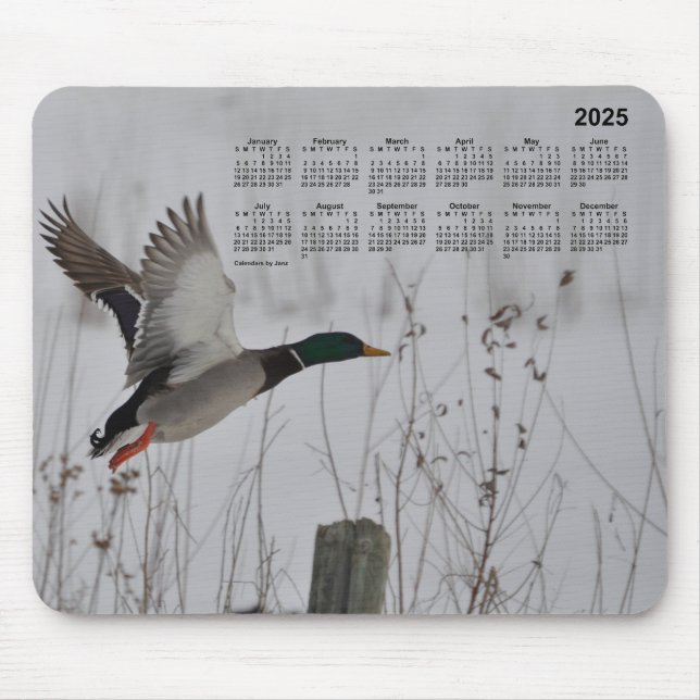 Mousepad 2025 Mallard no calendário de voo por Janz Mouse P (Frente)