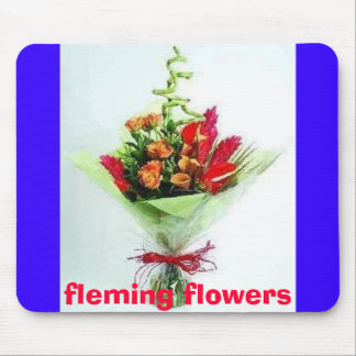 Mousepad 20 de outubro imagens da casa 082, fl fleming…