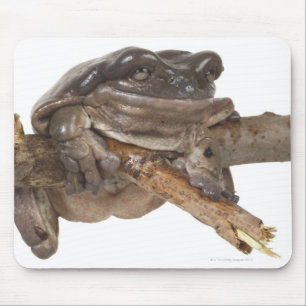 MOUSEPAD 23568138
