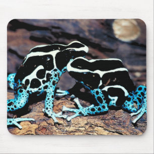 MOUSEPAD 23898179