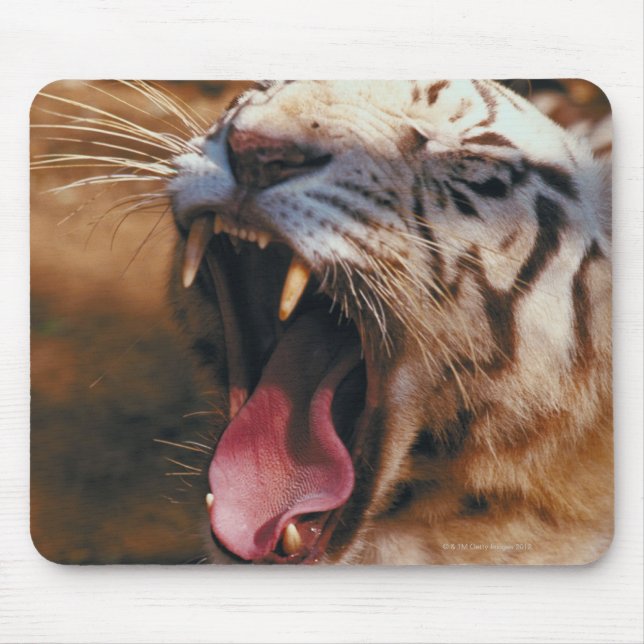 MOUSEPAD 23899234 (Frente)