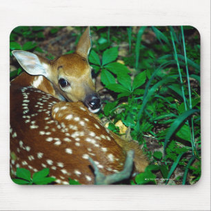 MOUSEPAD 24114390