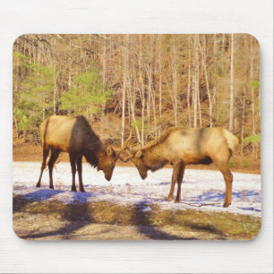 Mousepad 2~ 2 Bull Elk na neve