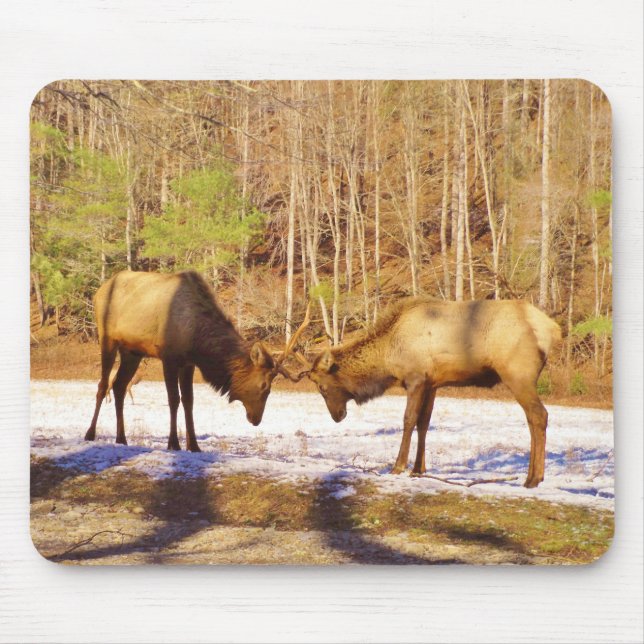 Mousepad 2~ 2 Bull Elk na neve (Frente)