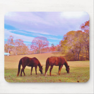 Mousepad 2 Cavalos castanhos num campo de cor