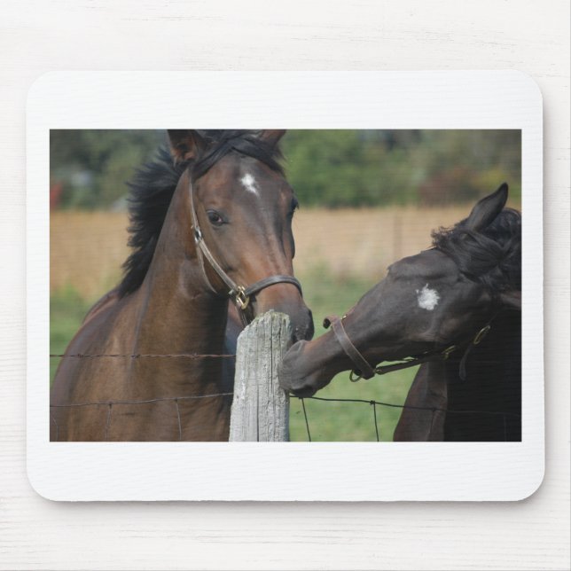 Mousepad 2 Cavalos mascando um Posto de cerca (Frente)