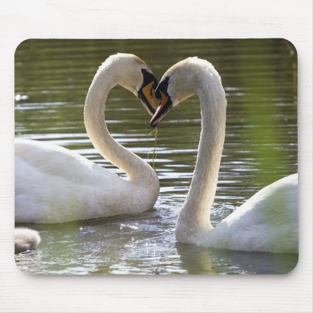 Mousepad 2 Cisnes sobre a água (Frente)