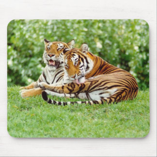 Mousepad 2 tigres na grama