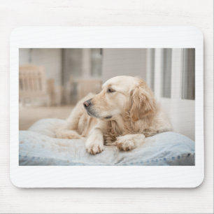 Mousepad 34137641_xxl