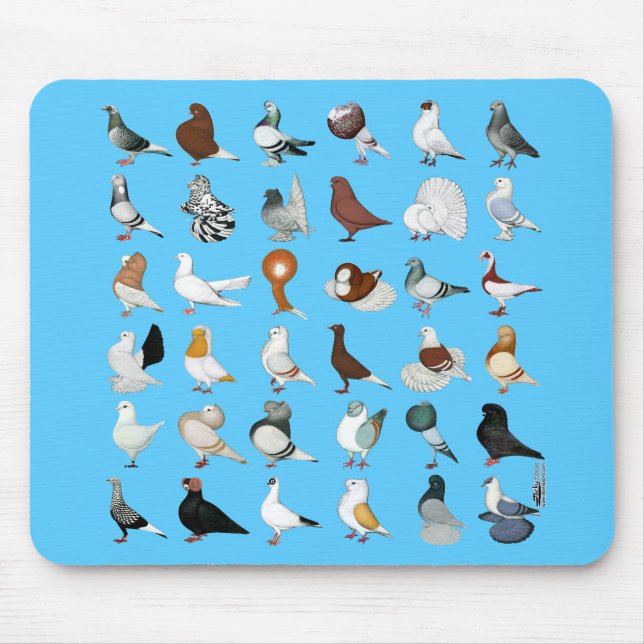 Mousepad 36 Rações de Pombo (Frente)