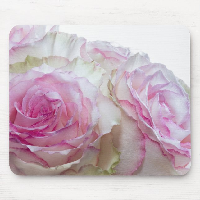 Mousepad 3998-Rosas Rosa e Branca (Frente)