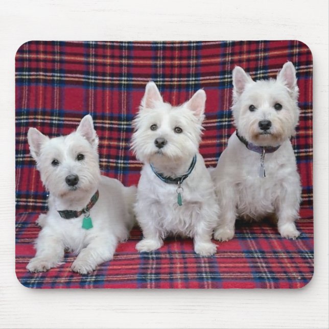 Mousepad 3 Westies (Frente)