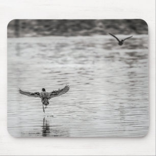 Mousepad 4297-Cormorant decolando de Pond