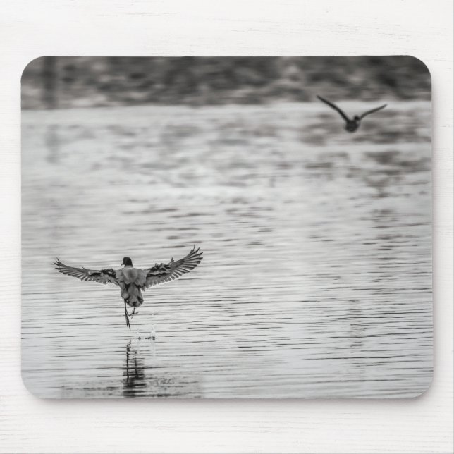 Mousepad 4297-Cormorant decolando de Pond (Frente)