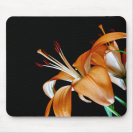 Mousepad 4464-Fechamento das Moscas Laranja