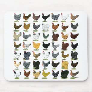 Mousepad 49 galinhas da galinha