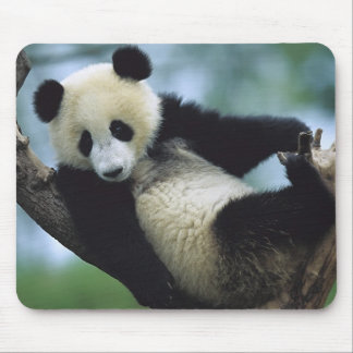 Mousepad 557711600wb1fp3