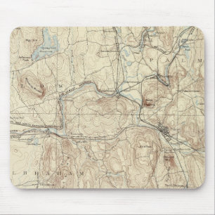 Mousepad 5 Folha de palmer