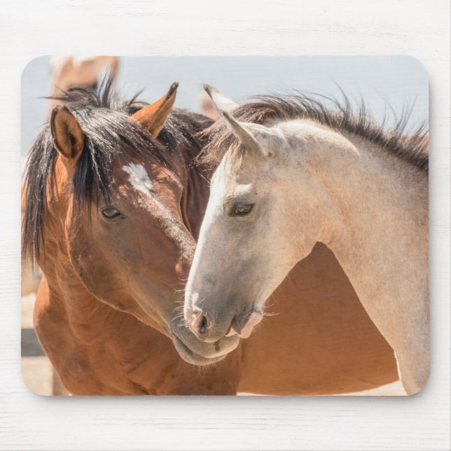Mousepad 7911-Dois Mustangs Selvagens (Frente)