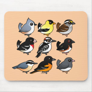 Mousepad 9 pássaros do nordeste do quintal dos EUA
