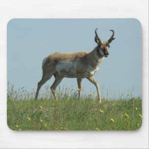 Mousepad A10 Antilope Pronghorn e Flores Silvestres