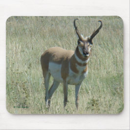 Mousepad A13 Antílope Americano