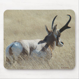 Mousepad A14 Antílope Americano Bicho do Sol