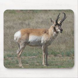 Mousepad A15 Antilocapra Rude Buck