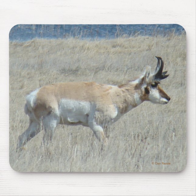 Mousepad A25 Antelope Buck (Frente)