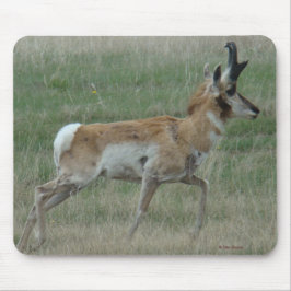 Mousepad A32 Pronghorn Antelope Buck