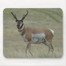 Mousepad A33 Antílope Berrendo Chifres Tortos Buck