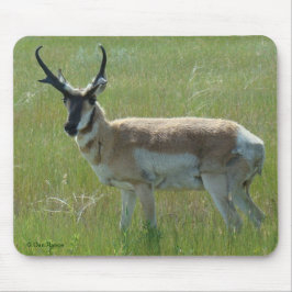Mousepad A36 Antílope Bidente Macho