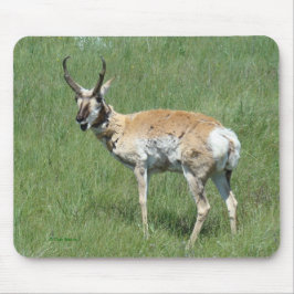 Mousepad A3 Pronghorn Antelope Buck