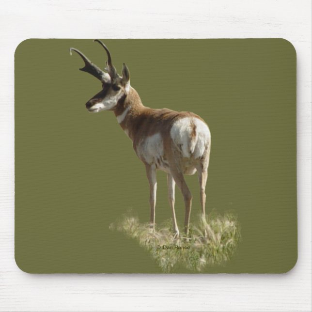 Mousepad A43 Pronghorn Antelope Buck (Frente)