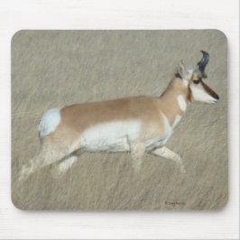 Mousepad A44 Antilocapra Americana Antílope Jovem