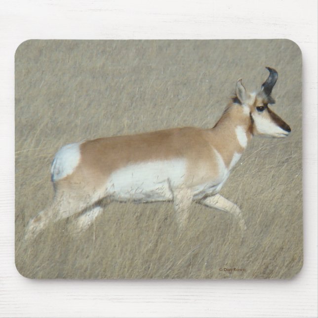Mousepad A44 Antilocapra Americana Antílope Jovem (Frente)