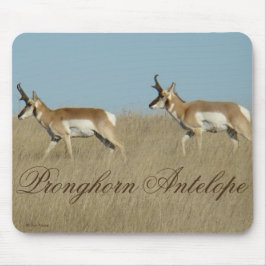 Mousepad A45 Antílope Berrendo Bucos Jovens