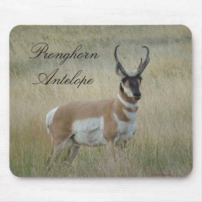 Mousepad A8 Pronghorn Antelope Big Buck (Frente)