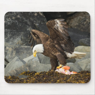 Mousepad A águia americana final