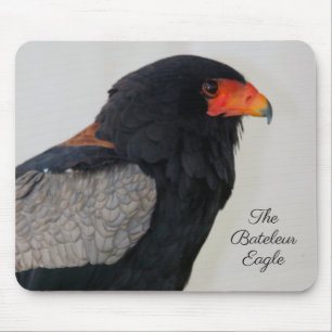 Mousepad A Águia Bateleur