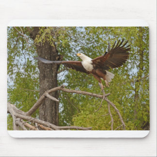 Mousepad A águia-peixe voa, Botswasna.