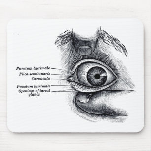 Mousepad A anatomia do cinza - globo ocular